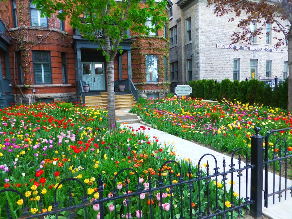 Auberge King Edward Bed And Breakfast 오타와 객실 사진