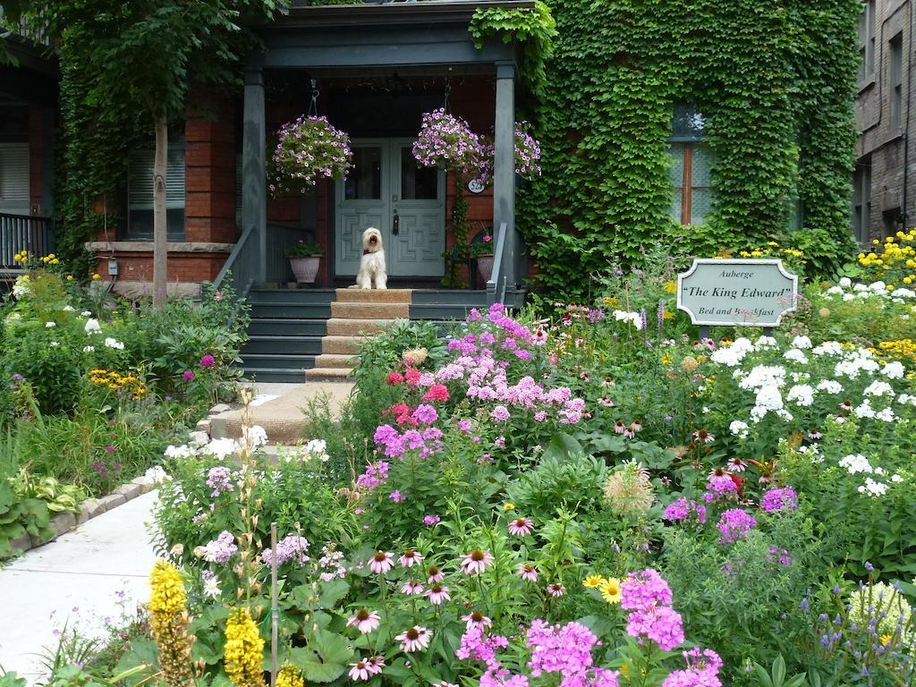 Auberge King Edward Bed And Breakfast 오타와 외부 사진